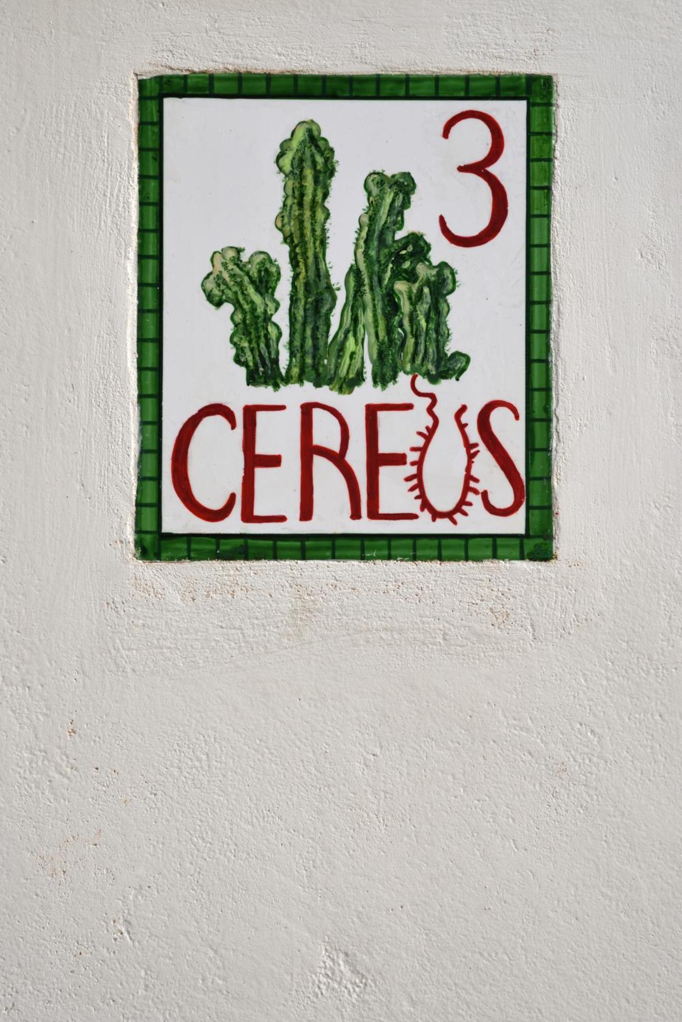 Cactus Hydra - Art Apartments الغرفة الصورة